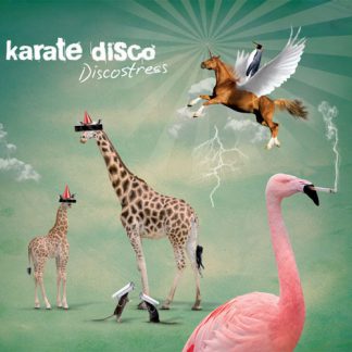 Cover: karate disco - discostress