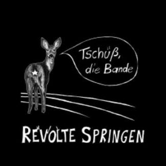 Cover: Revolte Springen - Tschüss die Bande CD