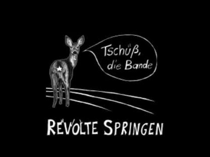 Cover: Revolte Springen - Tschüss die Bande CD