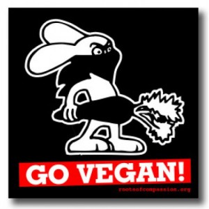 Tanz auf Ruinen Records - Sticker - Go vegan